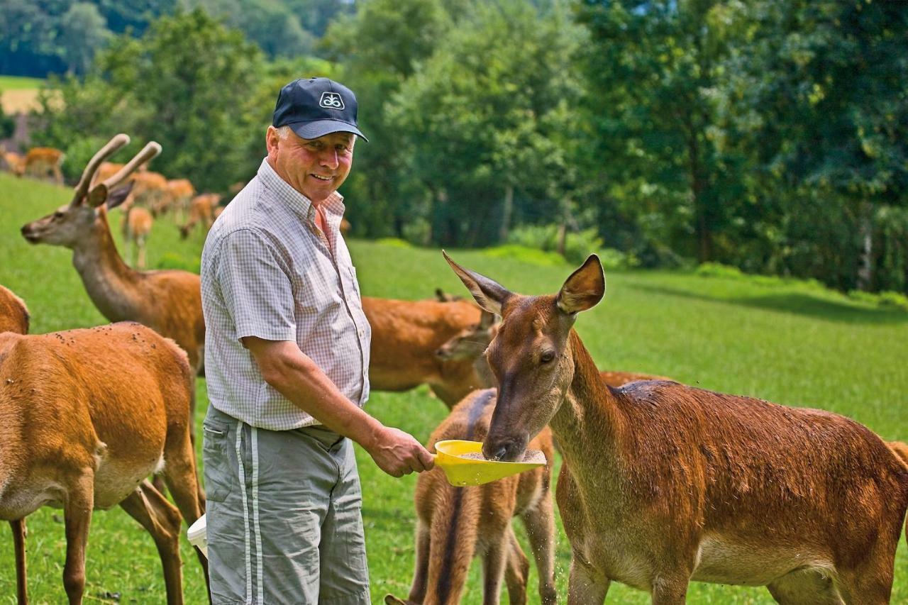 Gaestezimmer Buchegger Krumbach  Exteriör bild